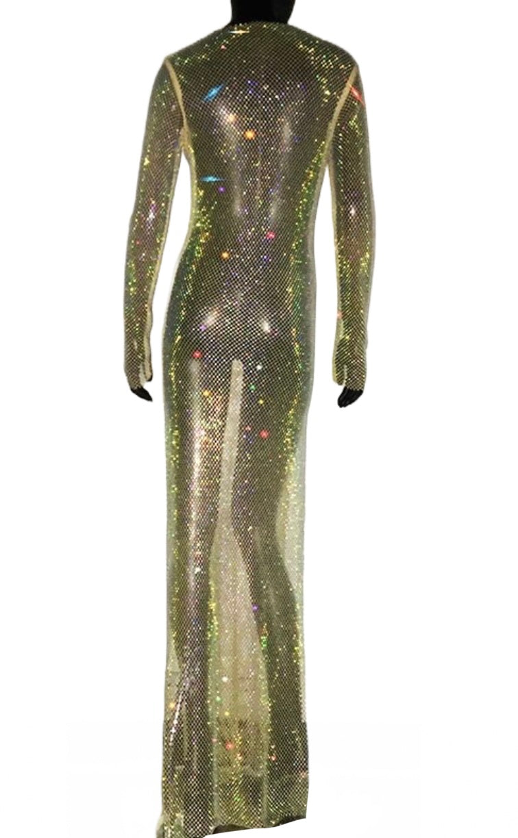 VANITY MAXI DRESS